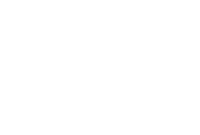 Shakti project 03