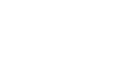 Shakti project 06